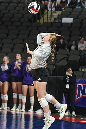 DSC_0201