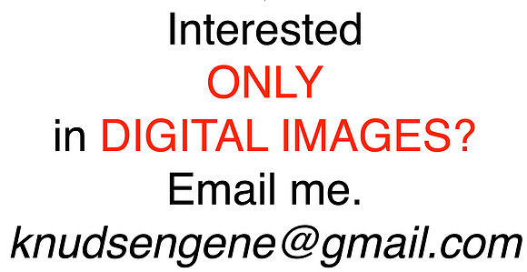 DIGITAL ONLY  ??