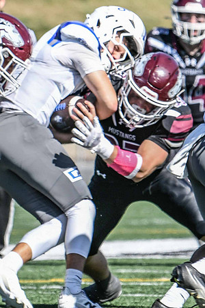 DSC_2063